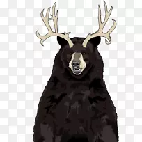 驯鹿鹿角野生动物鼻子-驯鹿-空若网 驯鹿鹿角野生动物鼻子-驯鹿-空若网