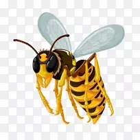 ÎÞ¹«º¦À¥³æÐÎ̬»Æ·ä-¿ÕÈôÍø ÎÞ¹«º¦À¥³æÐÎ̬»Æ·ä-¿ÕÈôÍø