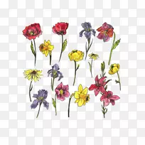水彩画花卉自由拉-空若网 水彩画花卉自由拉-空若网