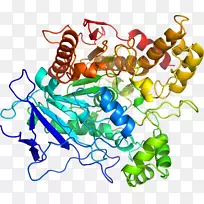 �ߵ������������-������