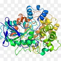 艺术身体珠宝有机体线剪贴画线-空若网 艺术身体珠宝有机体线剪贴画线-空若网