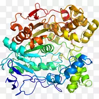 ���������л����߼�������-������