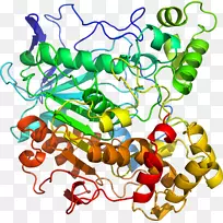 ���߶��������-��-������