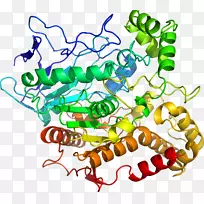 昆虫线动物剪贴画-昆虫-空若网 昆虫线动物剪贴画-昆虫-空若网