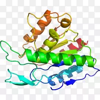 �߲��л���ϵ�м�����-�߲�-������