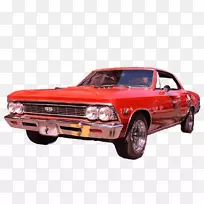 �������ո������ͳ������������-������