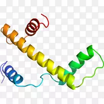 �ߵ������������-������