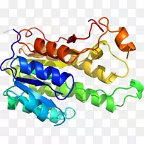 人体珠宝剪贴画.设计-空若网 人体珠宝剪贴画.设计-空若网