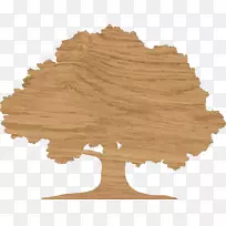 英国橡木地板-空若网 英国橡木地板-空若网