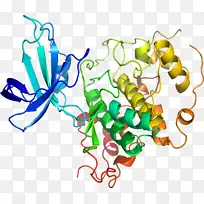 ���洫���߼�����-����-������