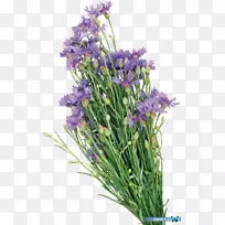 Ӣ��޹�²�ˮ�ʻ��ͻ�-������