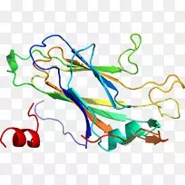 �ߵ������������-������