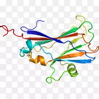 �ߵ������������-������