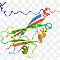 直线点生物动物剪贴画线-空若网 直线点生物动物剪贴画线-空若网