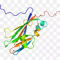 �ߵ�ƽ����Ƽ�������-������