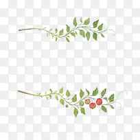 ºìÒ¶ÆÏÌÑ¿ÉÃâ·ÑÏÂÔØ¡£-¿ÕÈôÍø ºìÒ¶ÆÏÌÑ¿ÉÃâ·ÑÏÂÔØ¡£-¿ÕÈôÍø