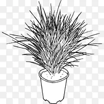 草线艺术花线-空若网 草线艺术花线-空若网