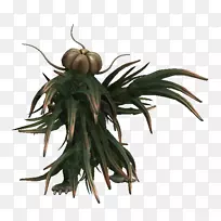 ��-��-������