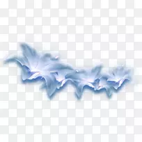 蓝色花瓣花-空若网 蓝色花瓣花-空若网