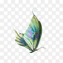 ºûµûÀ¥³æ×ÀÃæ±ÚÖ½¼ÐÒÕÊõ-ºûµû-¿ÕÈôÍø ºûµûÀ¥³æ×ÀÃæ±ÚÖ½¼ÐÒÕÊõ-ºûµû-¿ÕÈôÍø