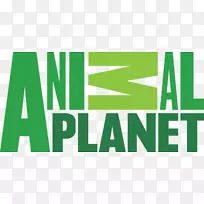 �����������Ƶ��-���-������