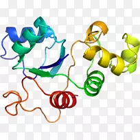人体珠宝剪贴画.设计-空若网 人体珠宝剪贴画.设计-空若网