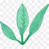 Ò¶Ë®²Ê»-Ò¶-¿ÕÈôÍø Ò¶Ë®²Ê»-Ò¶-¿ÕÈôÍø