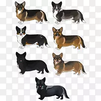 澳大利亚猫科犬澳大利亚海带澳大利亚牛狗剃刀小猎犬易损性-猫-空若网 澳大利亚猫科犬澳大利亚海带澳大利亚牛狗剃刀小猎犬易损性-猫-空若网