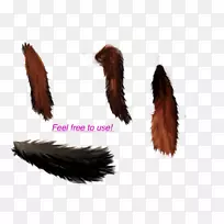 ��β�Ͷ�������-������