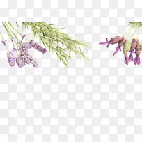 ���͡��ʻ�޹�²���ϴ��-޹�²��޿۲���-������