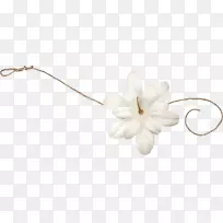 切花黑白无创意花扣-空若网 切花黑白无创意花扣-空若网