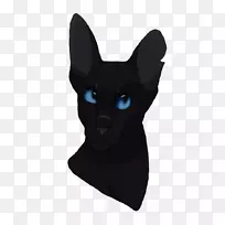 胡须猫狗鼻子犬科猫-空若网 胡须猫狗鼻子犬科猫-空若网