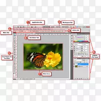 屏幕截图adobe系统计算机程序-计算机-空若网 屏幕截图adobe系统计算机程序-计算机-空若网