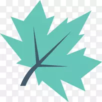 ���߿���ֲ�������-������