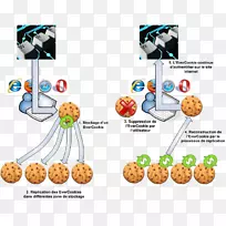 http cookie计算机科学每台Cookie计算机病毒信息-Cookie.png-空若网 http cookie计算机科学每台Cookie计算机病毒信息-Cookie.png-空若网