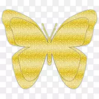 蝶和昆虫卷心菜白蝶-空若网 蝶和昆虫卷心菜白蝶-空若网