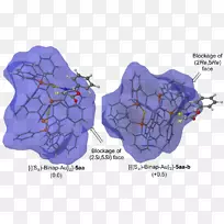 巴斯克大学阿利坎特大学研究每摩尔千卡罗里-几何摘要-空若网 巴斯克大学阿利坎特大学研究每摩尔千卡罗里-几何摘要-空若网