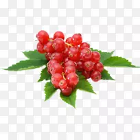 ����ع�������-������