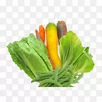 ���嵺����԰�߲�����-������