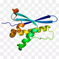 人体首饰有机体线剪贴画线-空若网 人体首饰有机体线剪贴画线-空若网