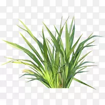 ²Ý±¾Ö²Îï»æ»¶ùͯ²å»¨ÒÕÊõ-¿ÕÈôÍø ²Ý±¾Ö²Îï»æ»¶ùͯ²å»¨ÒÕÊõ-¿ÕÈôÍø