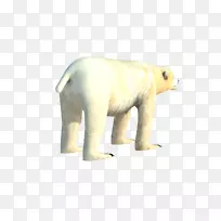 北极熊印度象野生动物鼻子北极熊-空若网 北极熊印度象野生动物鼻子北极熊-空若网
