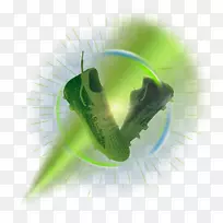 昆虫近距植物茎昆虫-空若网 昆虫近距植物茎昆虫-空若网