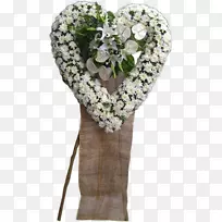 花卉设计-空若网 花卉设计-空若网