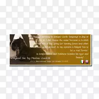 犬种广告鼻子品牌-苏格兰猎犬-空若网 犬种广告鼻子品牌-苏格兰猎犬-空若网