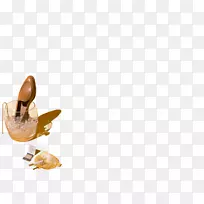 ������������ǳ�������-������