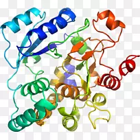 生物线动物剪贴画线-空若网 生物线动物剪贴画线-空若网