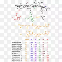 线点角字体线-空若网 线点角字体线-空若网