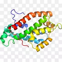 人体首饰有机体线剪贴画线-空若网 人体首饰有机体线剪贴画线-空若网