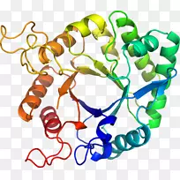人体首饰有机体线剪贴画线-空若网 人体首饰有机体线剪贴画线-空若网